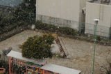 雪