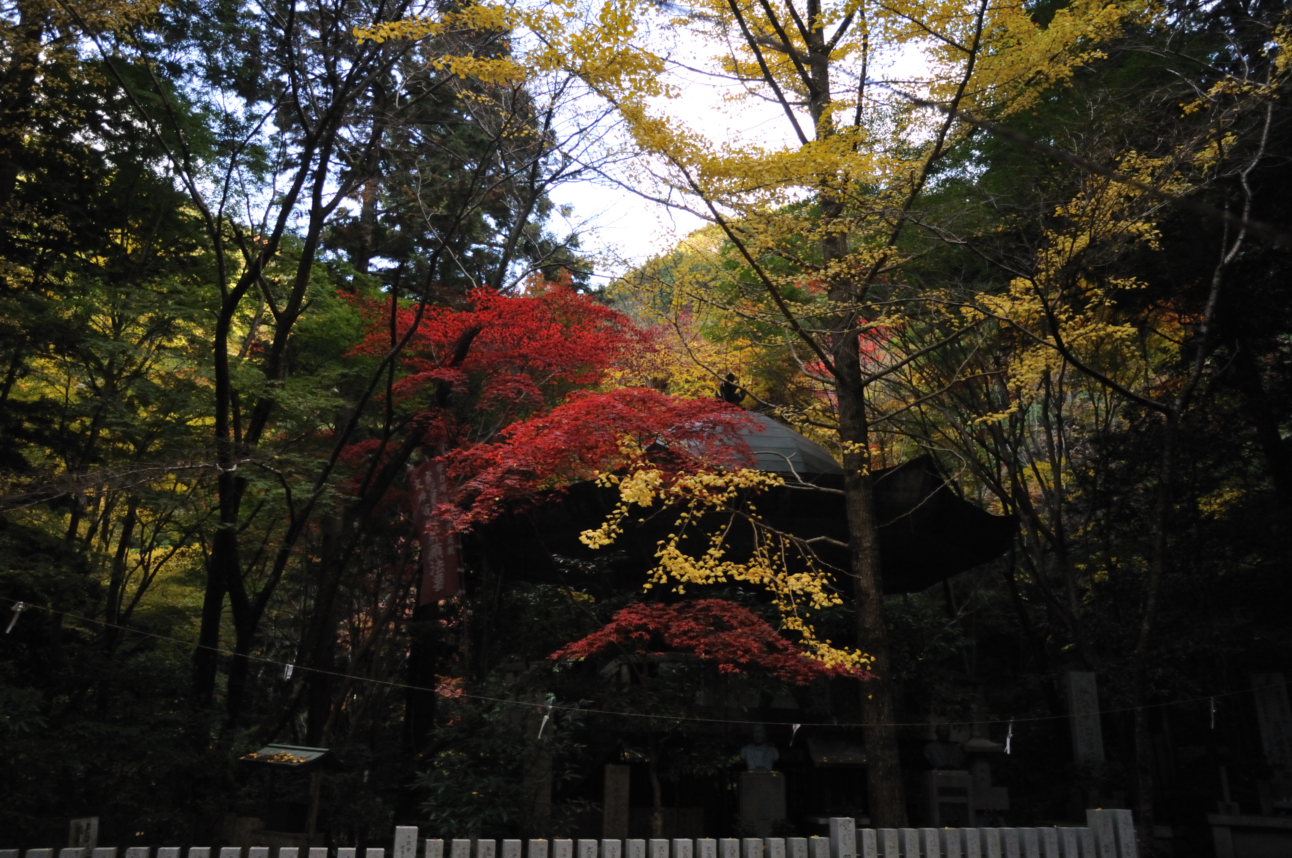 イデゑもん写真日記 犬鳴山