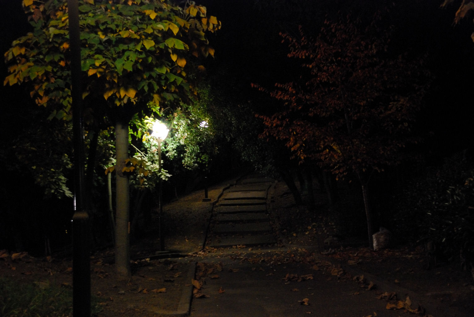 イデゑもん写真日記 夜の山の道 イデゑもん写真日記 夜の山の道