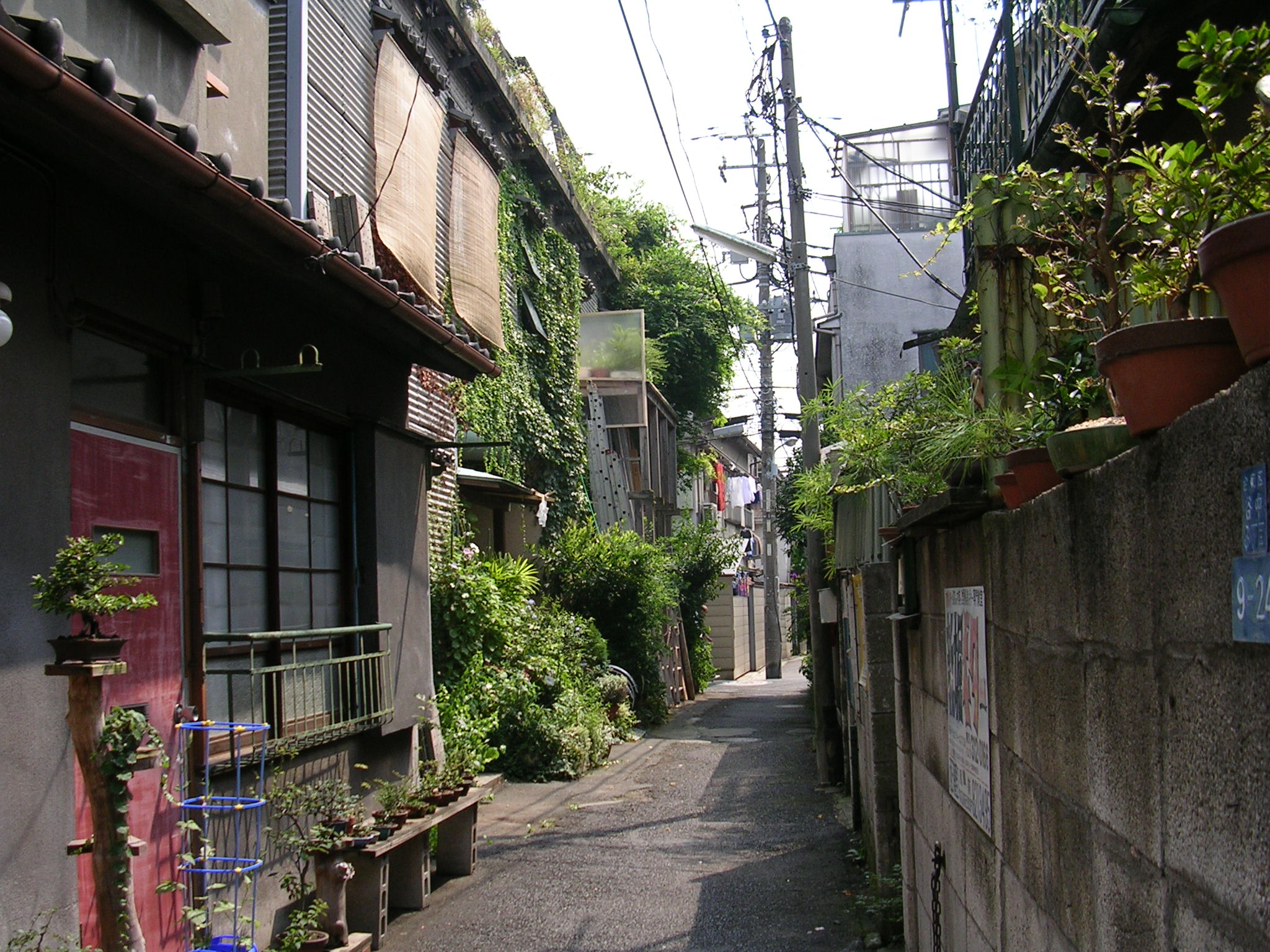谷根千散歩 谷中編 イナバチャンネル