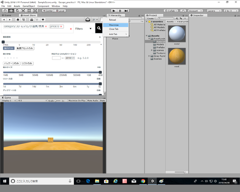 Asset Store_最大化
