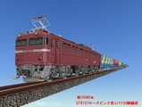 EF8137¥í¡¼¥º¿§¥³¥ó¥Æ¥Ê20íÒÊÔÀ®£Á