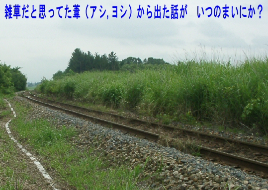 線路の雑草の話から 新vrm3 井戸端会議