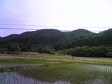 おっぱい山6