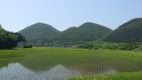 仙山線16.jpg