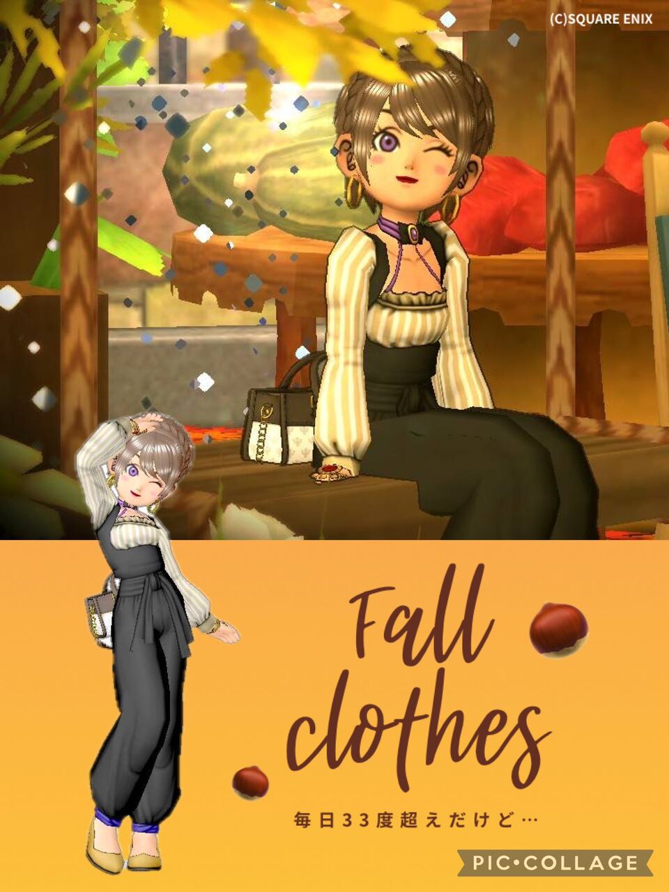 秋服ドレアのイメージ