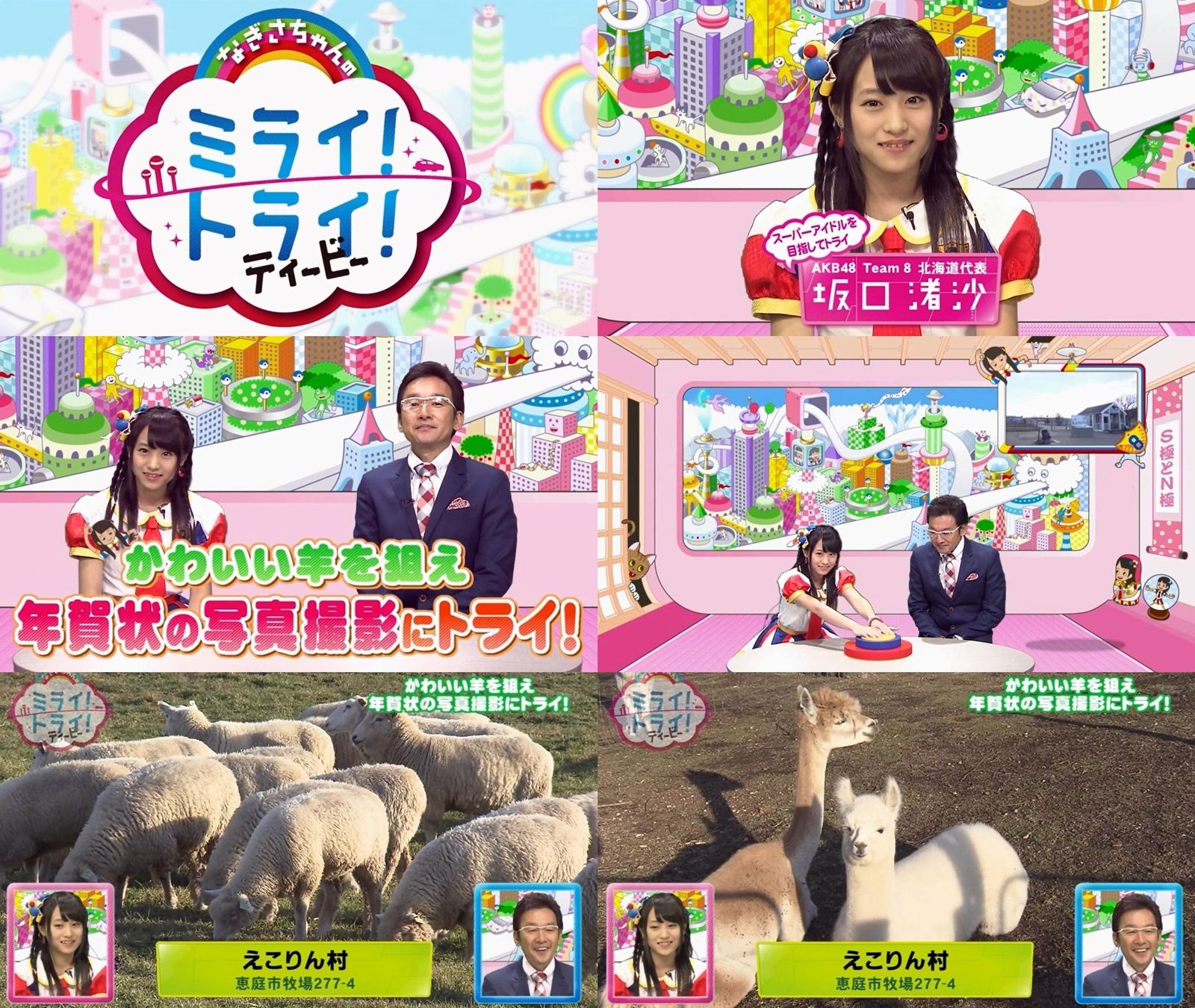 なぎさちゃんのミライ トライ ティービー 10 かわいい羊を狙え年賀状の写真撮影にトライ 坂口渚沙 Tvキャプまとめ 14 12 07 Team8のまとメイト