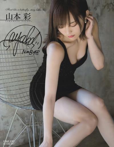 【SEXY】[可愛い]山本彩の水着画像まとめ【64枚】