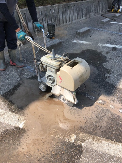 8832E43E-66C3-480F-981C-E12201610B6A