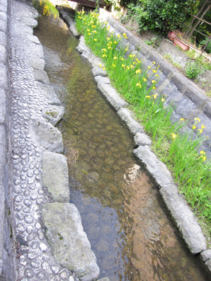 100607gangengawa02