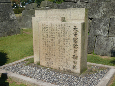 100628fukunoihi