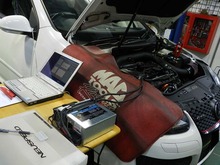 DSCN6196