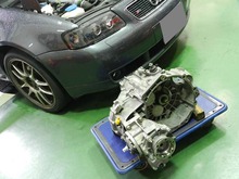 DSCN6233