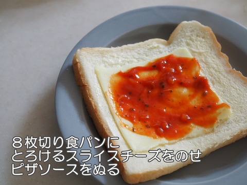 batch_P9081887