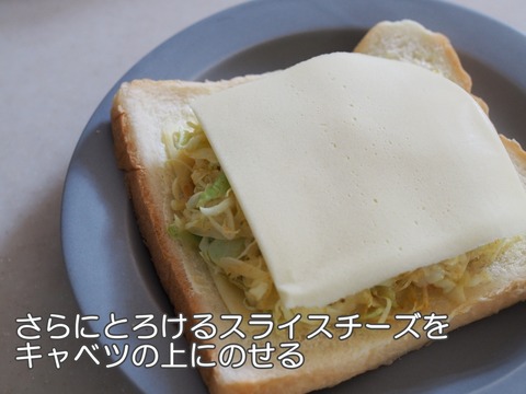 batch_P9081890