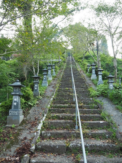 P8303049