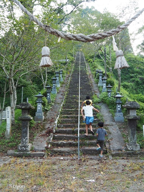 P8303033