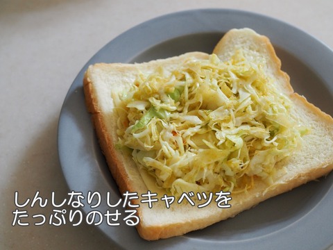 batch_P9081889