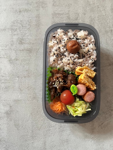 無印】洗いやすいお弁当箱 と 買い物候補記録 : IEbiyori 鹿児島 整理