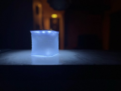 1_IMG_7038