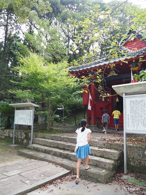 P8303040