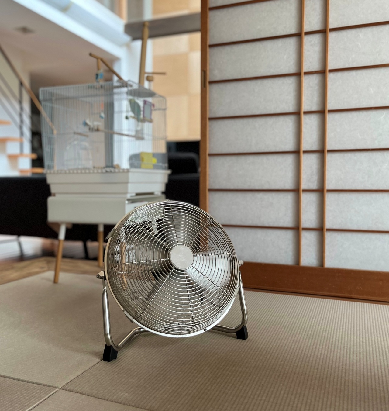 Stadler Form Charly fan サーキュレーター ステンレス Stadler Form