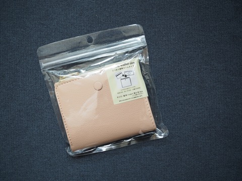 batch_P4070072