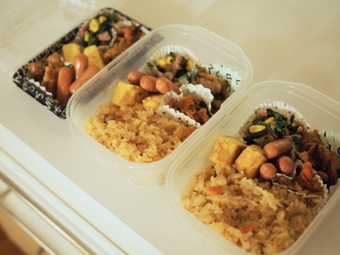 batch_PC040235