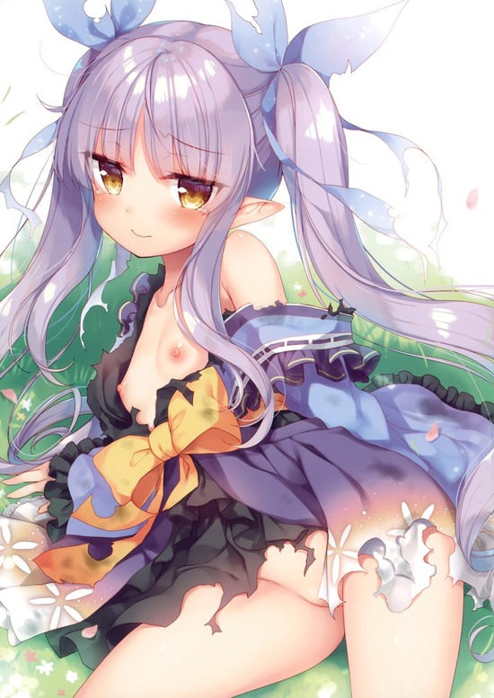 ロリ貧乳 (30)