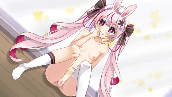 貧乳 (13)