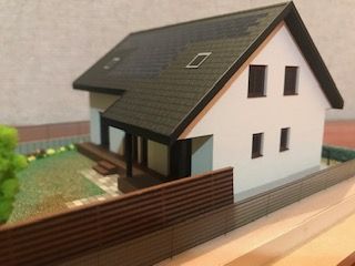 IMG_6257