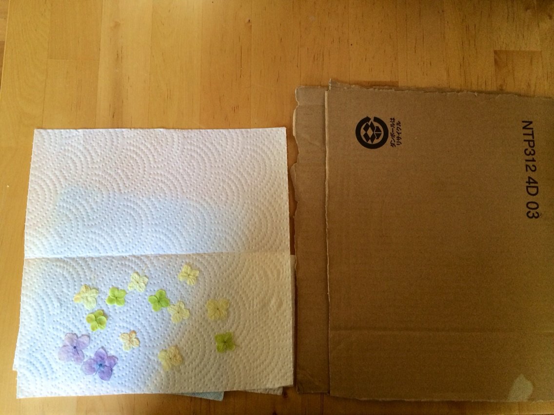 電子レンジと段ボールで簡単押し花 手作りを楽しむ Let S Enjoy Handmade Life Style