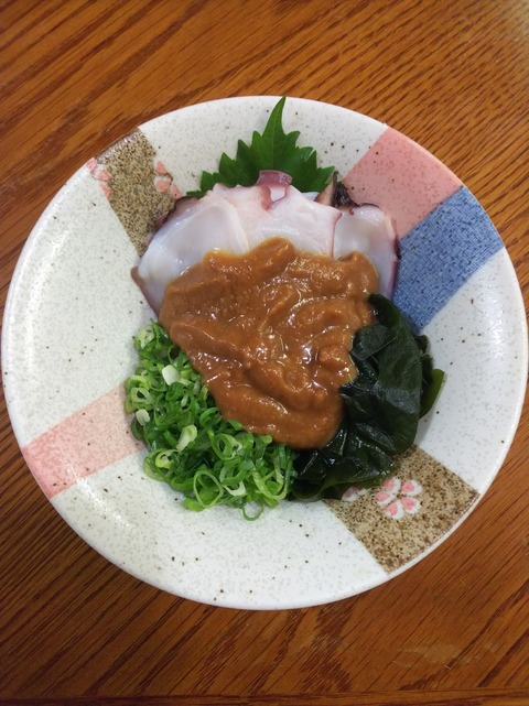 みそたこ Amazon | キタコ(KITACO) エンジンタコメーターOPPAMA(PET-304