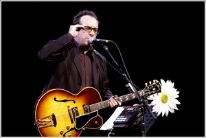 Elvis_costello
