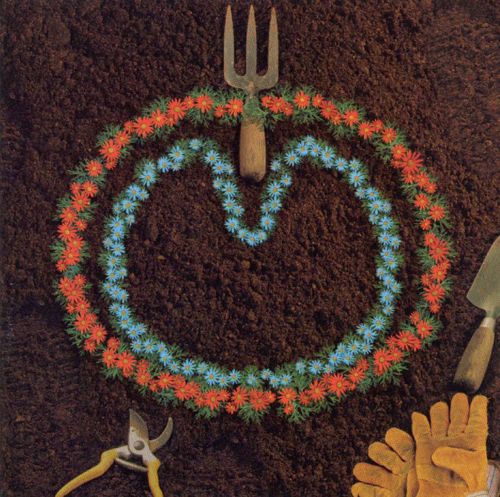 ポップ馬鹿、アップル商法に手を染める。 その2 - XTC 『Apple Venus