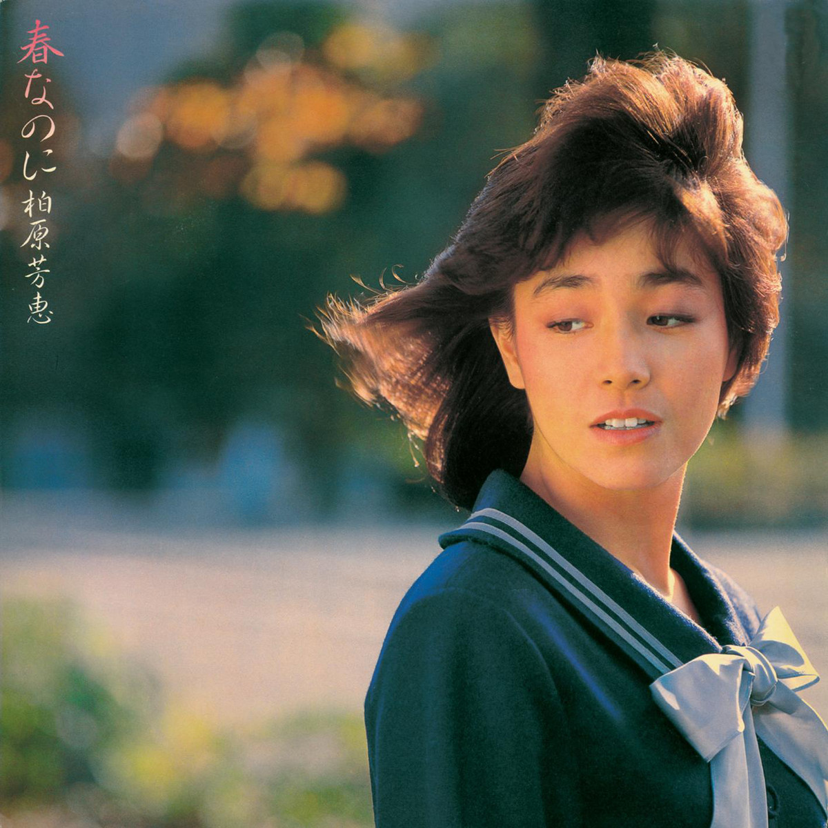 俺の好きなアルバムたち 柏原芳恵