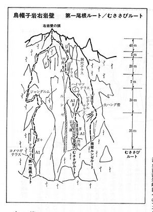 小川山 クラシックルートのちょい情報 国際山岳ガイド 山下