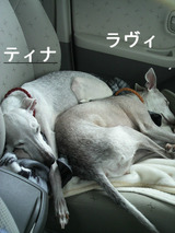 BlogPaint
