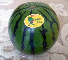 真冬のスイカ 真冬のスイカ