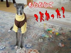 やり過ぎたかしら...