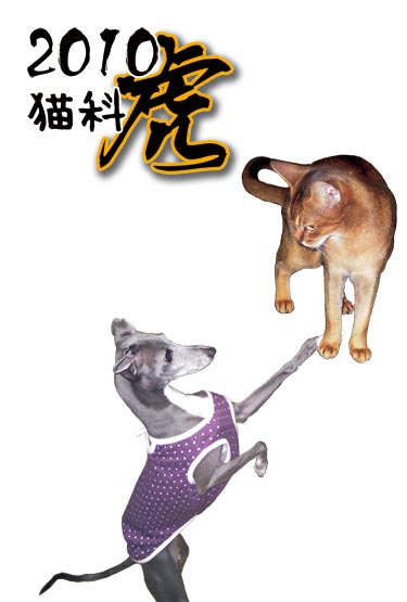 100101/ボクの年だよ〜 100101/ボクの年だよ〜