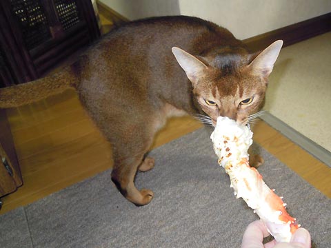 蟹とは分かっているけど… 蟹とは分かっているけど…