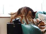 ったく、もぅ、