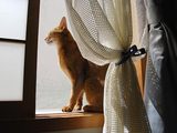特等席だ〜♪