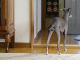 下りてきて。o゜(p´□`q)゜o。