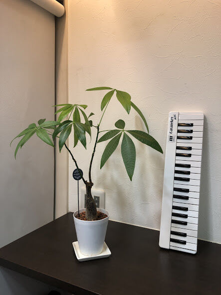 room1