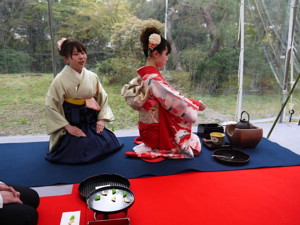 春茶会レポとイベント紹介 京都大学医学部茶道部の新歓ブログ13 春茶会レポとイベント紹介 京都大学医学部茶道部の新歓ブログ13