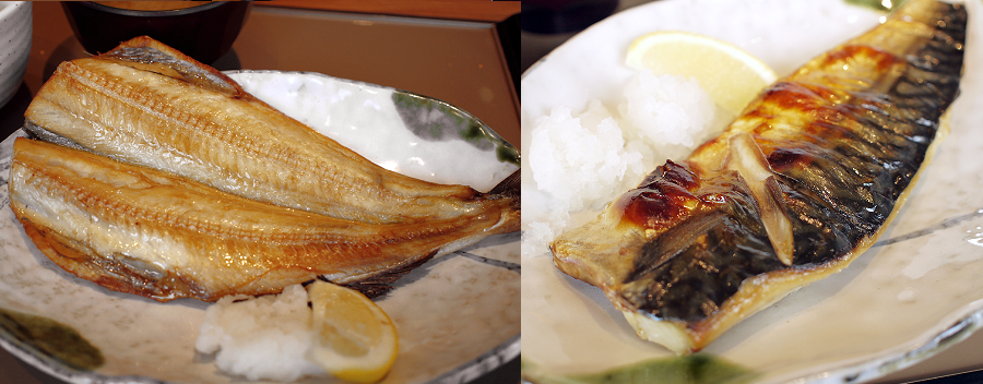 柳の下に2匹目のドジョウがいたの巻 英語教室 以学館 教室便り