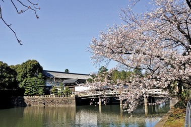 764c67296b09f9b755f1265ba1d4537c