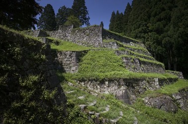 1344_1_l